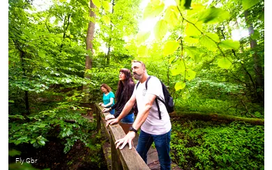 xx210725dsWandernWaldHirschberg-34.jpg