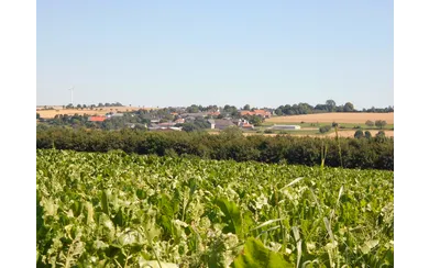 Ortsteil Waldhausen
