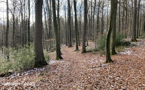 IMG_2504.JPG IMG_2504.JPG