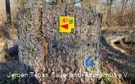 Runde B, mit ca. 7km, Tour 47