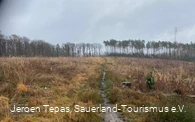 Naturbelassener Pfad