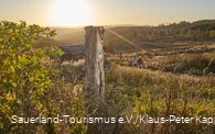 Sonnenuntergang auf dem Ochsenkopf zwischen Sundern und Arnsberg