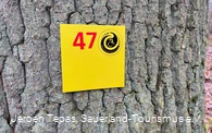Tour 47