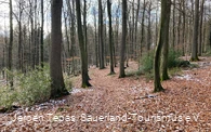 Naturbelassener Pfad