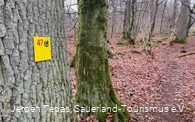 Trail Tour 47