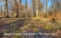 Trail Tour 47